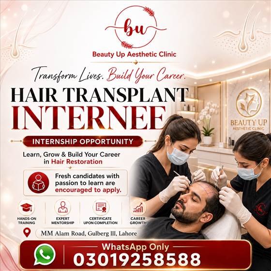 Beauty Up Internship Opportunity Creative