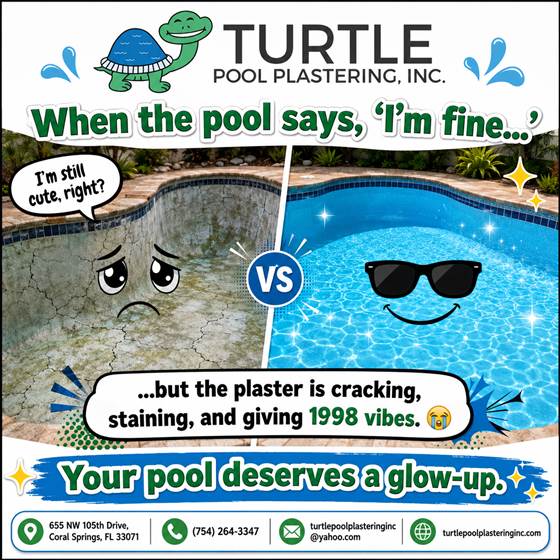Turtle Pool Plastering Glow Up Creative