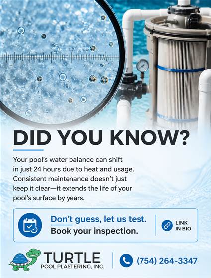 Turtle Pool Water Balance Creative