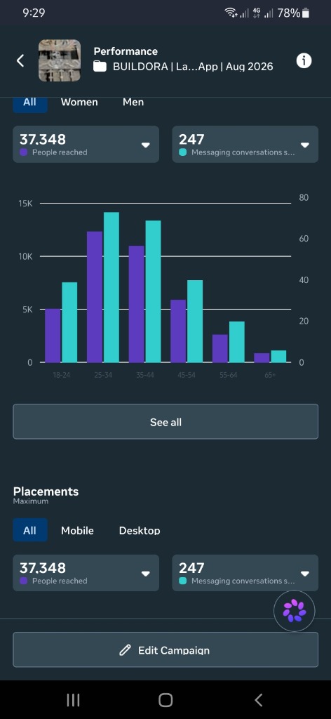 Meta Ads Manager demographics breakdown showing 37,348 reach and 247 messaging conversations for Lahore wrought iron gates