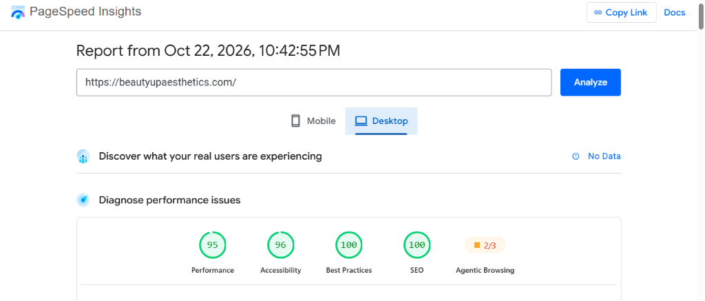 Google PageSpeed Insights desktop report showing 95 performance, 96 accessibility, 100 best practices, 100 SEO