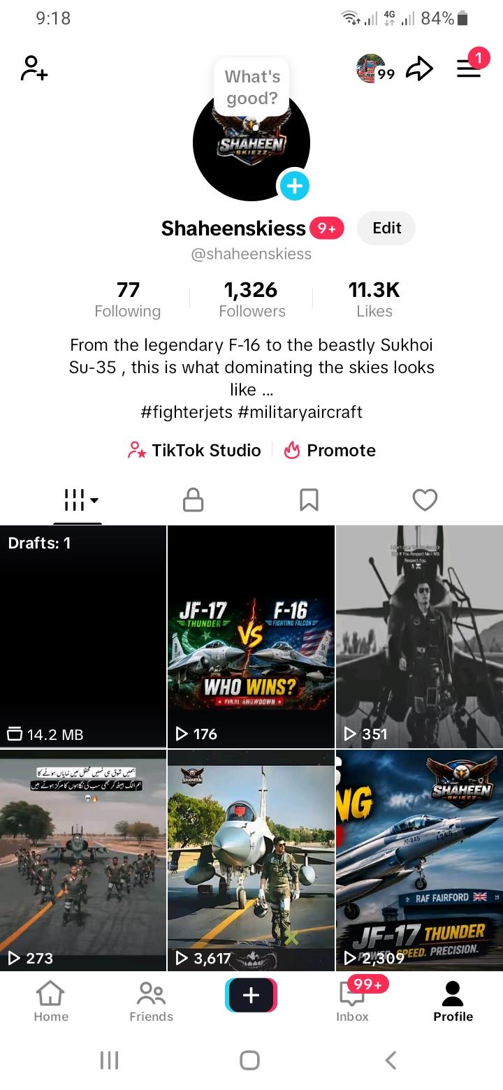 Shaheen Skies TikTok profile